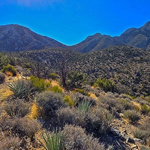 La Madre Ridgeline East Saddle | La Madre Mountains Wilderness, Nevada