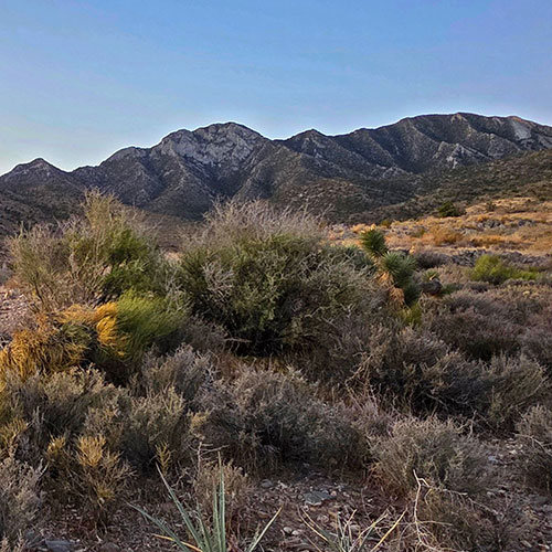 La Madre East Ridge Approaches | La Madre Mountains Wilderness, Nevada