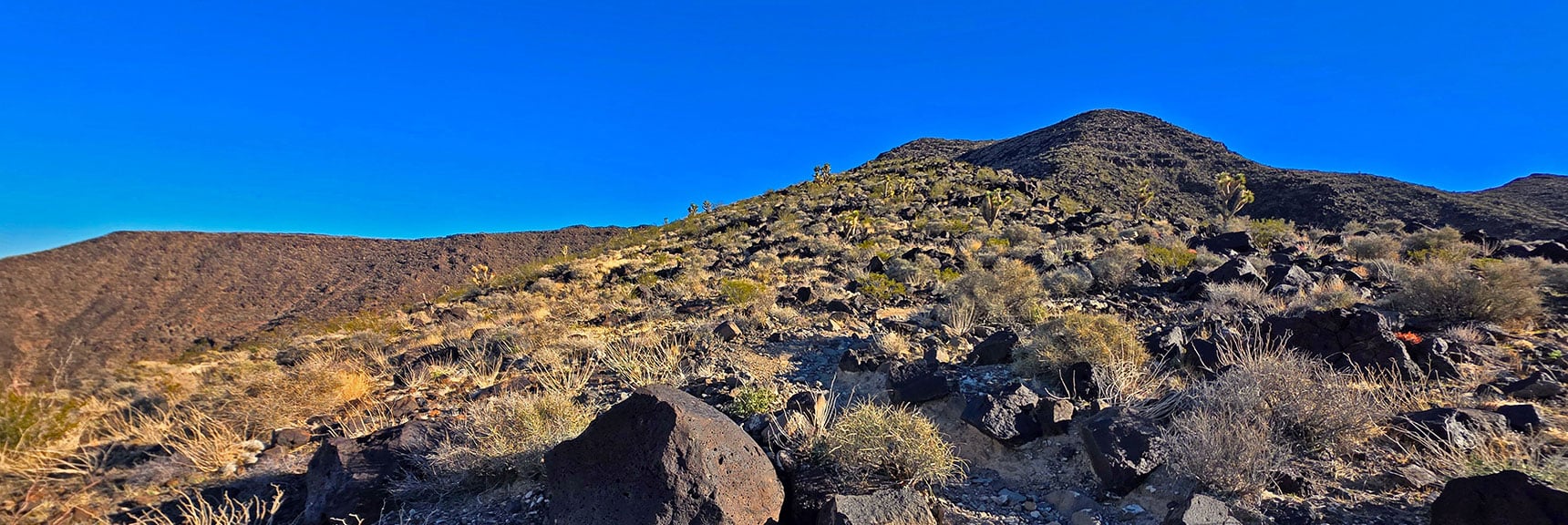 Volcanic Rock Garden Unfolding in Ever Increasing Beauty. | Black Mountain North Loop | McCullough Hills | Sloan Canyon National Conservation Area, Nevada