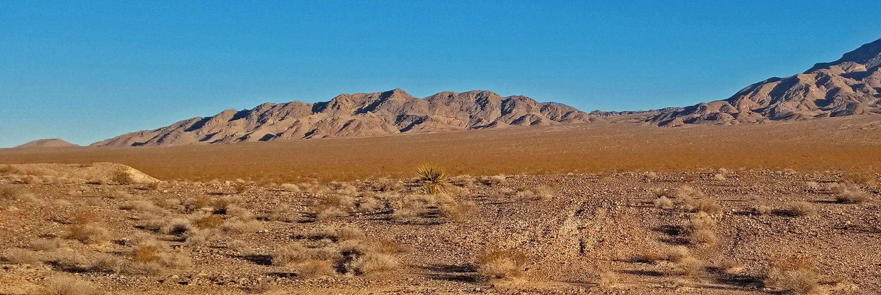 Spectacular Views of Spring Mts., Vegas & Surrounding Points! | Castle Rock Loop | Desert National Wildlife Refuge, Nevada