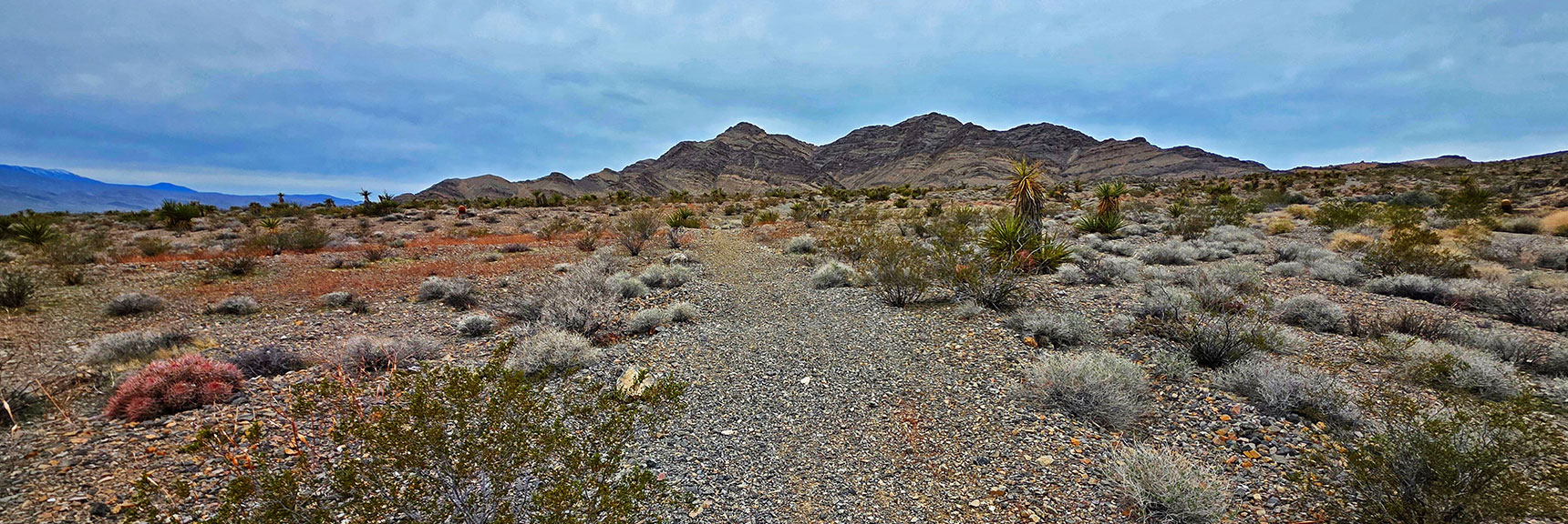 You'll Come Across Roads and Trails Along the Way. They Lead You Off-Course. | Castle Rock Loop | Desert National Wildlife Refuge, Nevada