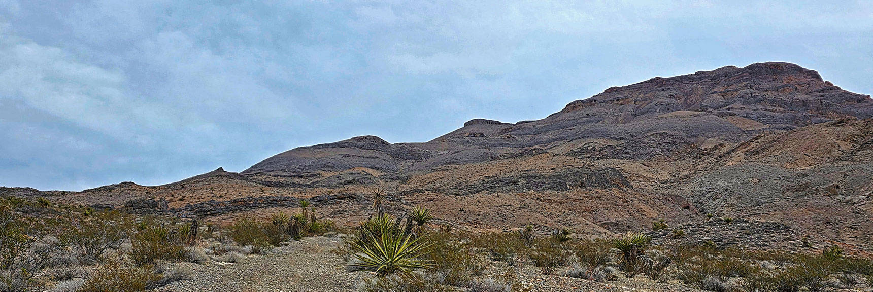 Except for Road Near the Gap Summit. Here's Gass Peak East Side of the Gap | Castle Rock Loop | Desert National Wildlife Refuge, Nevada