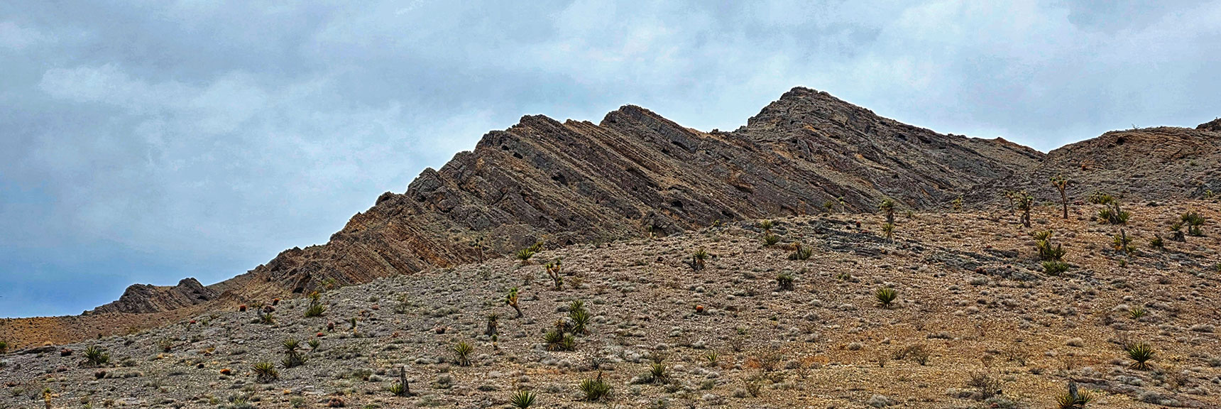 Castle Rock Layers Indicate More Gradual Slope on Opposite Side of Ridge | Castle Rock Loop | Desert National Wildlife Refuge, Nevada