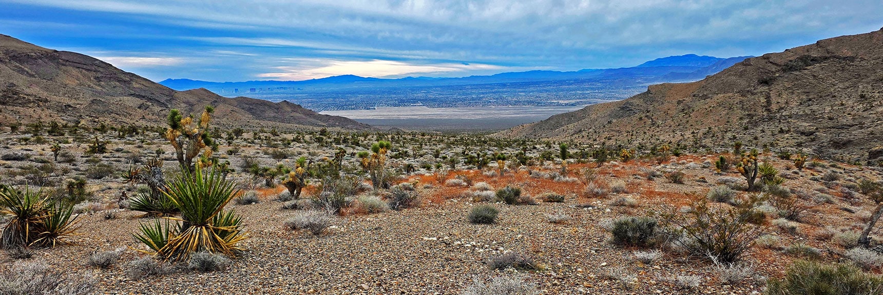 Vegas Valley Through the Gap's Beautiful Joshua Tree Forest | Castle Rock Loop | Desert National Wildlife Refuge, Nevada