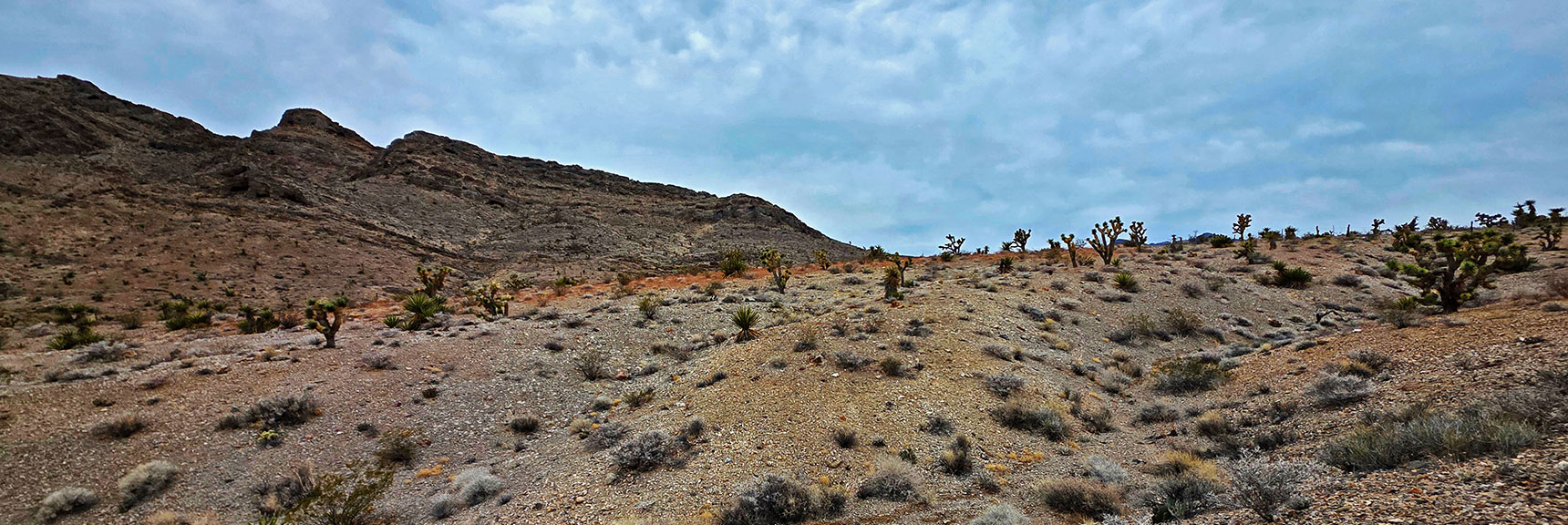 Approaching the Gap Summit. When There, Turn Toward Castle Rock | Castle Rock Loop | Desert National Wildlife Refuge, Nevada