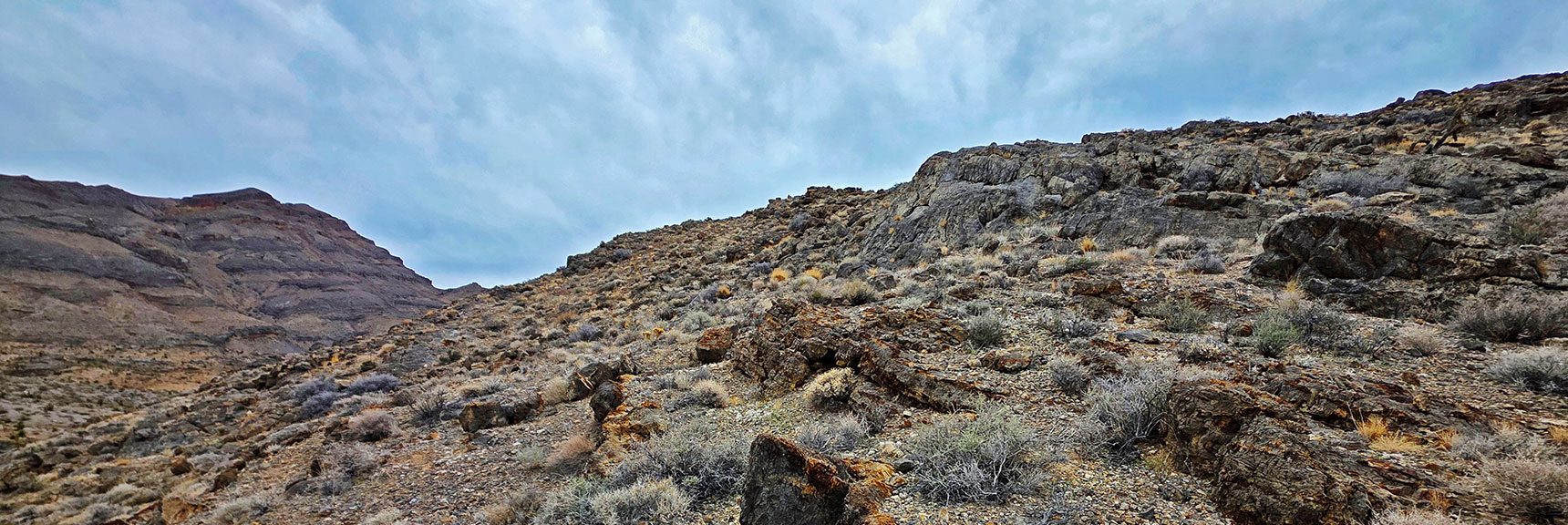 View Back Across Castle Rock North Slope to Gass Peak | Castle Rock Loop | Desert National Wildlife Refuge, Nevada