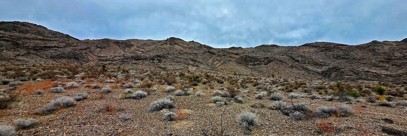 North Side of Castle Rock Ridgeline Viewed from Below | Castle Rock Loop | Desert National Wildlife Refuge, Nevada