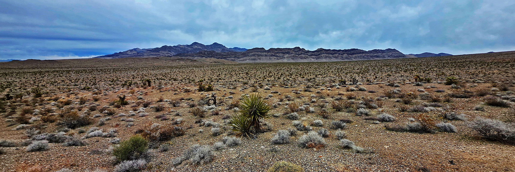 Fossil Ridge and Sheep Range Across the Northern Valley | Castle Rock Loop | Desert National Wildlife Refuge, Nevada