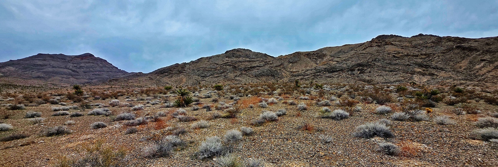 View Back Along Castle Rock Ridgeline Toward Gass Peak | Castle Rock Loop | Desert National Wildlife Refuge, Nevada