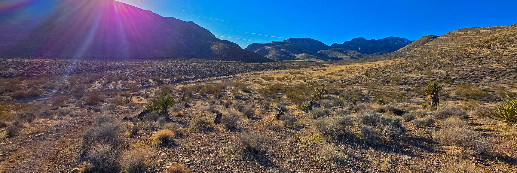 Ascending La Madre Approach Canyon Toward Eastern Pass | La Madre Ridge East Base Circuit | La Madre Mountains Wilderness, Nevada