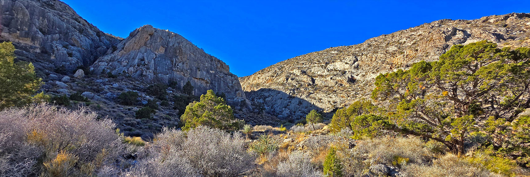 Another Ascent Point Up Gully in the Pass. Beautiful Area! 4WD Access. | La Madre Ridge East Base Circuit | La Madre Mountains Wilderness, Nevada