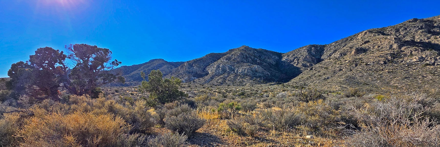 View South Along East Edge of La Madre Ridgeline. Pristine, at Edge of Vegas | La Madre Ridge East Base Circuit | La Madre Mountains Wilderness, Nevada