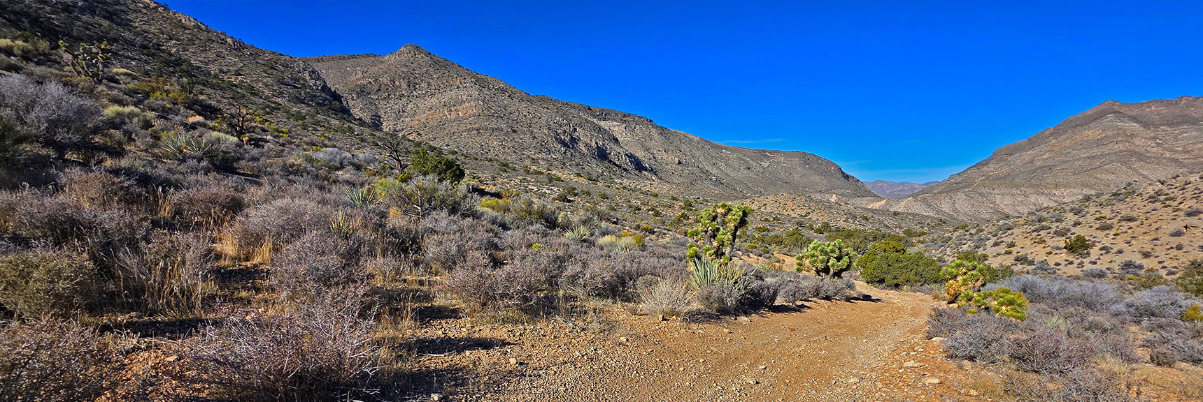 View Back Across Ridgeline (left) to NE Pass. | La Madre Ridge East Base Circuit | La Madre Mountains Wilderness, Nevada