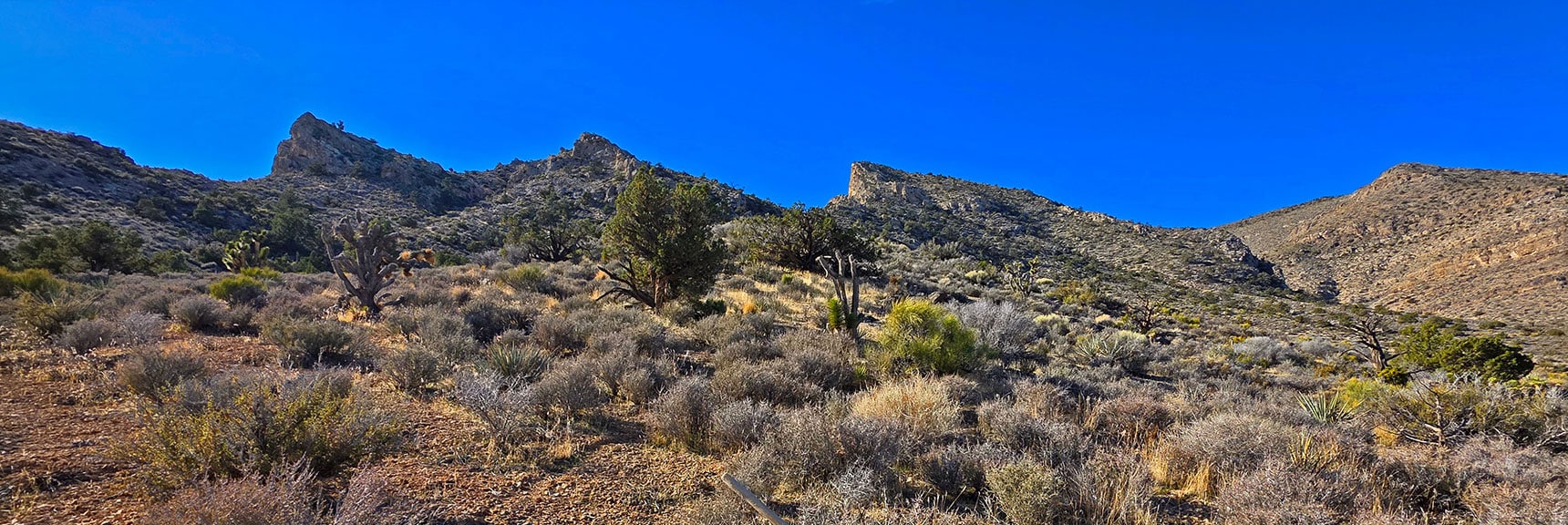 SE Edge of Ridgeline. La Madre Ridge S Side is Vertical, N is Gradual | La Madre Ridge East Base Circuit | La Madre Mountains Wilderness, Nevada