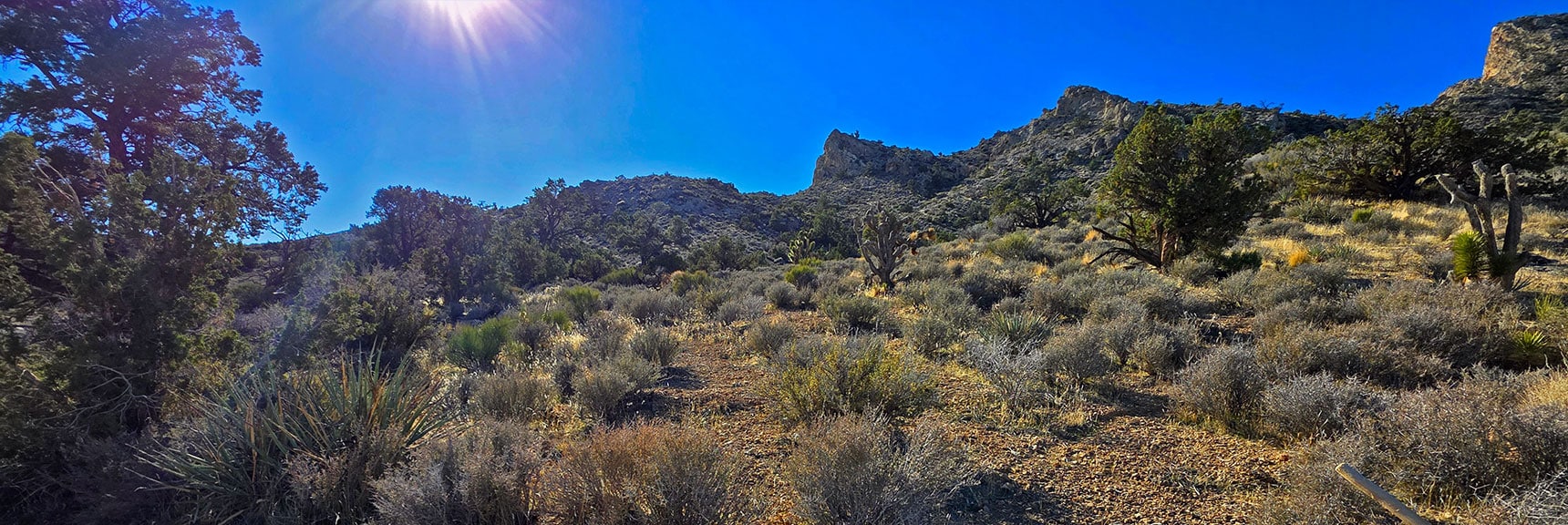 Vertical Drop-Off on South Ridge Just Over Rock Formations | La Madre Ridge East Base Circuit | La Madre Mountains Wilderness, Nevada