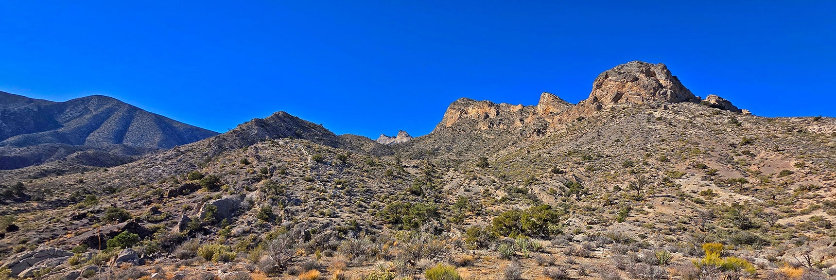 This is the Vertical South Side of Rock Formations Just Seen. | La Madre Ridge East Base Circuit | La Madre Mountains Wilderness, Nevada