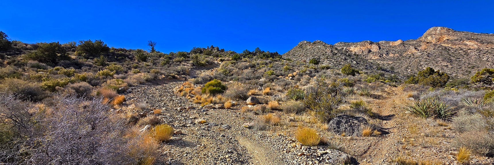 Leaving 4WD Roads for First Time to Take Branching Trail to Right | La Madre Ridge East Base Circuit | La Madre Mountains Wilderness, Nevada