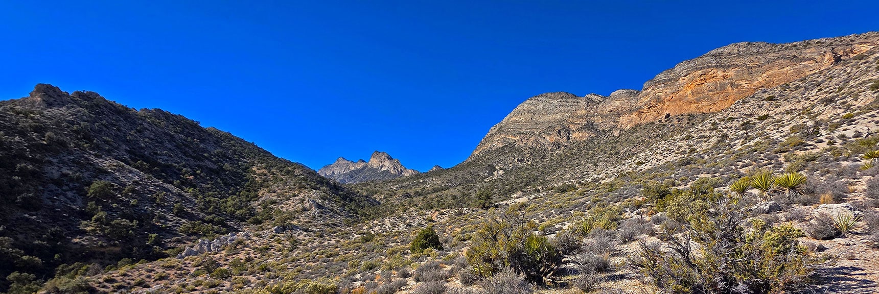 Vertical South La Madre Ridgeline. East La Madre Peak and Saddle to Left. | La Madre Ridge East Base Circuit | La Madre Mountains Wilderness, Nevada