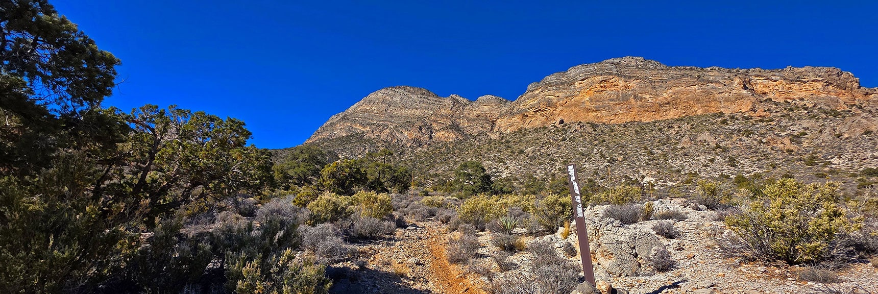 Trail Guides Way Along S Base of Ridge Toward Saddle to Left of Cliffs. | La Madre Ridge East Base Circuit | La Madre Mountains Wilderness, Nevada