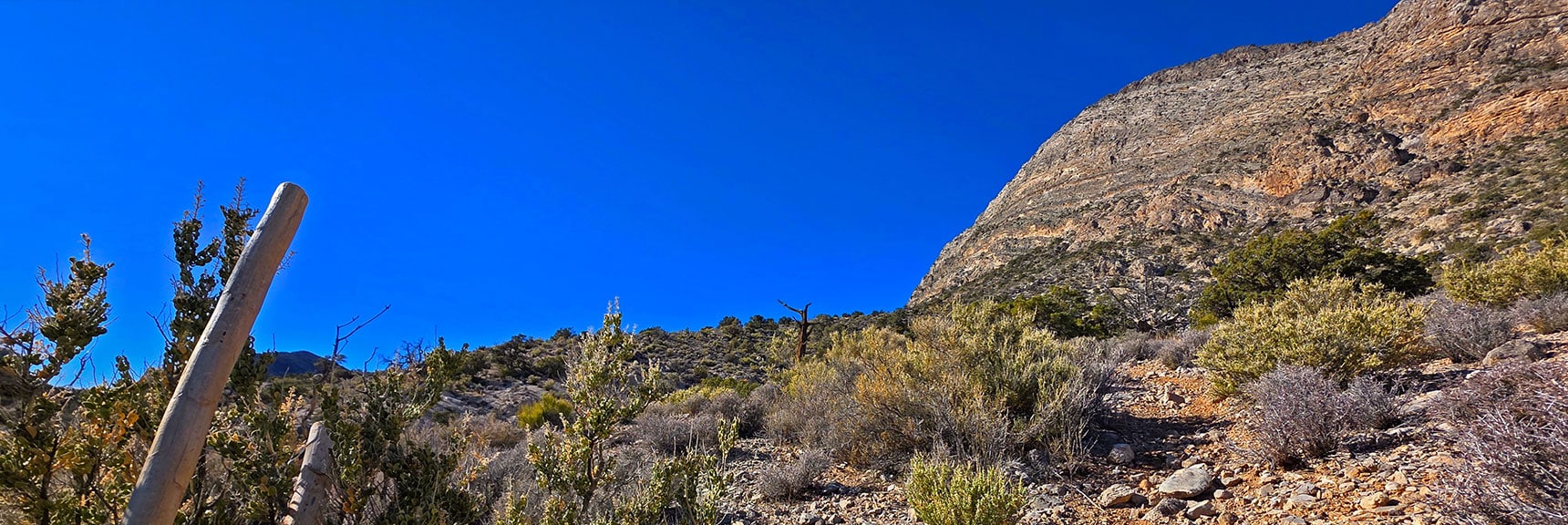 Leave Trail, Ascend Toward Saddle. Cross Multiple Deep Washes, Incline Increasing | La Madre Ridge East Base Circuit | La Madre Mountains Wilderness, Nevada