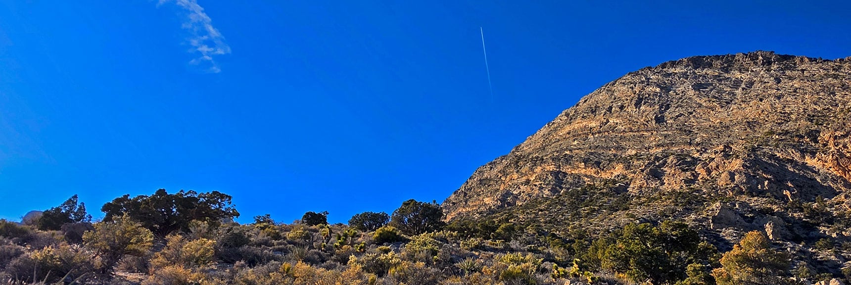 View Back to Saddle Area During Descent. Just 1/2 Mile Away! | La Madre Ridge East Base Circuit | La Madre Mountains Wilderness, Nevada