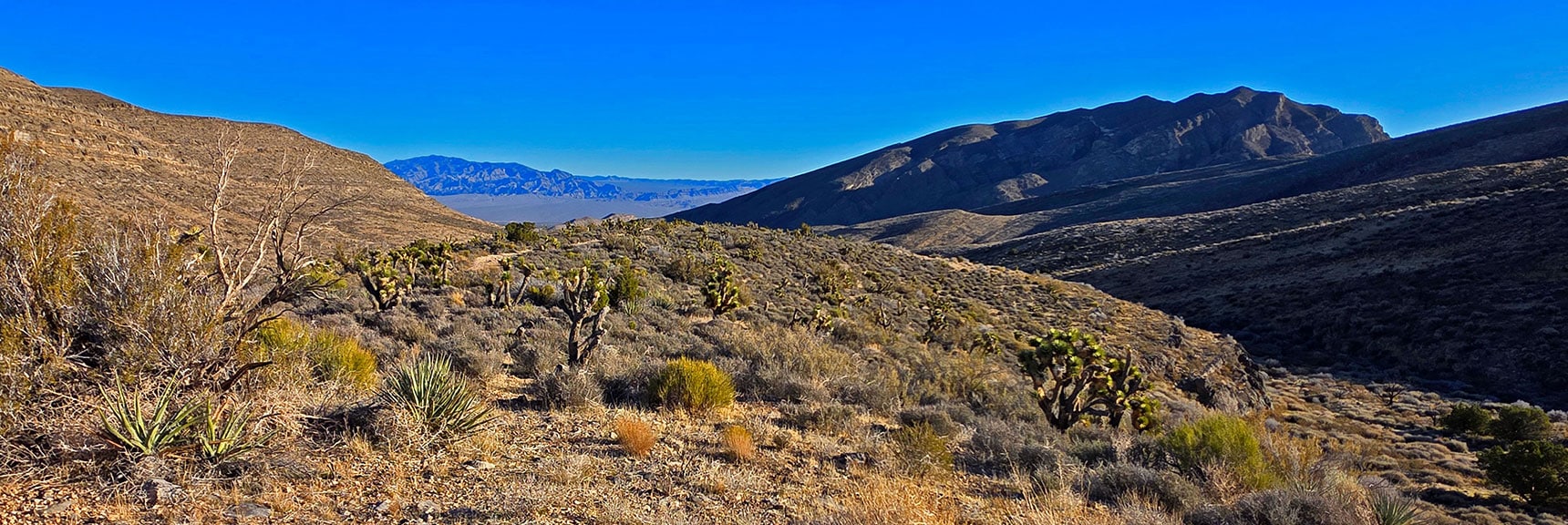 View Back Down to Sheep Range Through Initial Approach Route | La Madre Ridgeline Eastern Grand Crossing Loop | La Madre Mountains Wilderness, Nevada