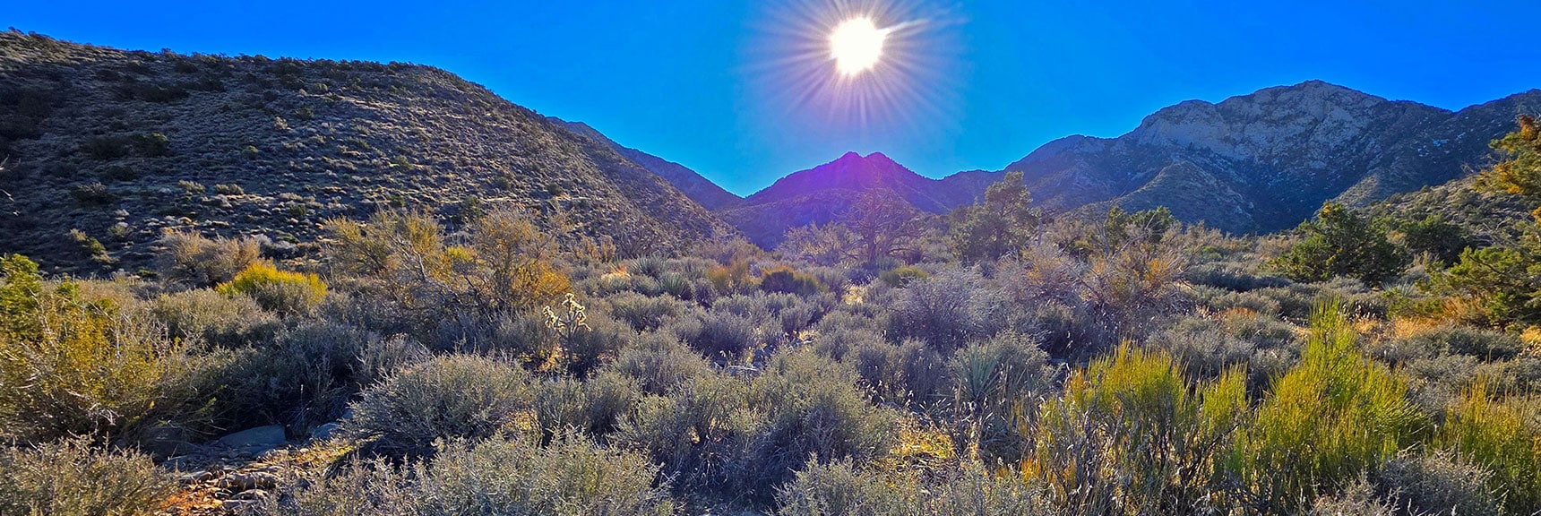 Peak 6826 Under the Sun. Note 2 High Points. Saddle is Below, Left. | La Madre Ridgeline Eastern Grand Crossing Loop | La Madre Mountains Wilderness, Nevada