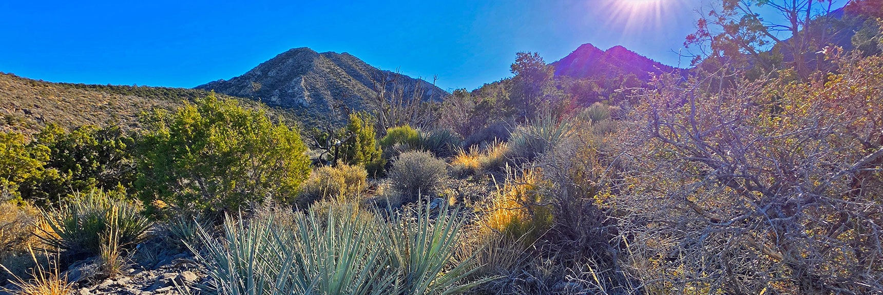 Begin Ascending Peak 6826 Approach Ridge. Will Top First Summit on Left. | La Madre Ridgeline Eastern Grand Crossing Loop | La Madre Mountains Wilderness, Nevada
