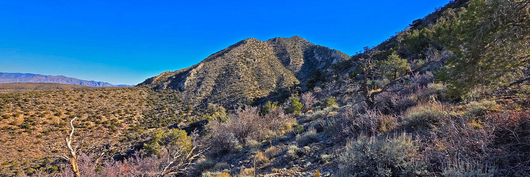 Upper Approach Ridge View Across to East La Madre Peak | La Madre Ridgeline Eastern Grand Crossing Loop | La Madre Mountains Wilderness, Nevada