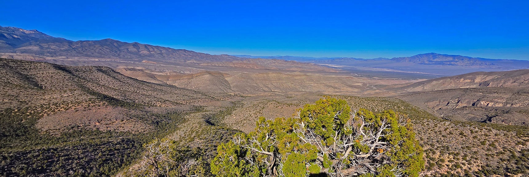 Higher View Across to Sheep Range | La Madre Ridgeline Eastern Grand Crossing Loop | La Madre Mountains Wilderness, Nevada