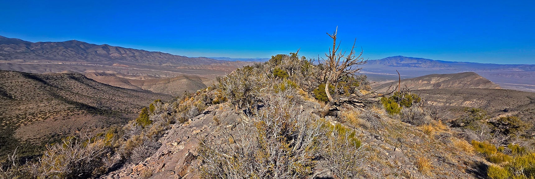 View Across the Nice Level Rest Area Between the 6826 High Points | La Madre Ridgeline Eastern Grand Crossing Loop | La Madre Mountains Wilderness, Nevada
