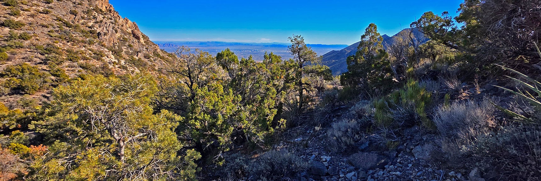 Rounding Last Slope to Eastern Saddle | La Madre Ridgeline Eastern Grand Crossing Loop | La Madre Mountains Wilderness, Nevada