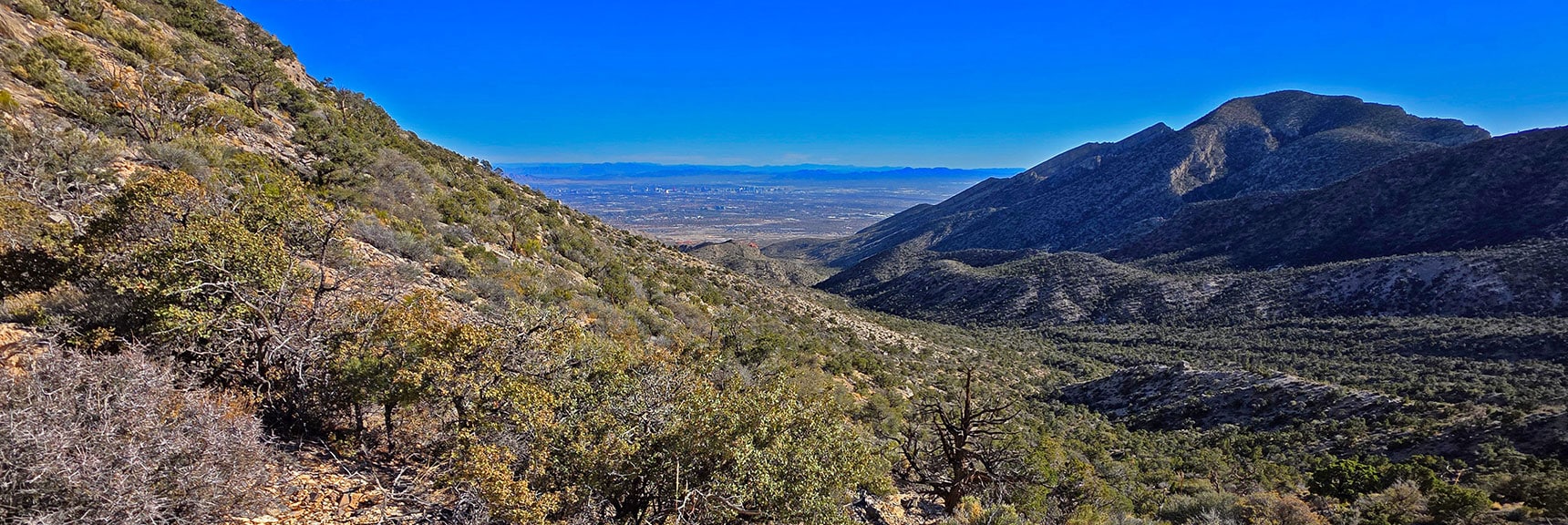 Continuing Descent. Damsel Peak on Right, Vegas Valley Below. | La Madre Ridgeline Eastern Grand Crossing Loop | La Madre Mountains Wilderness, Nevada