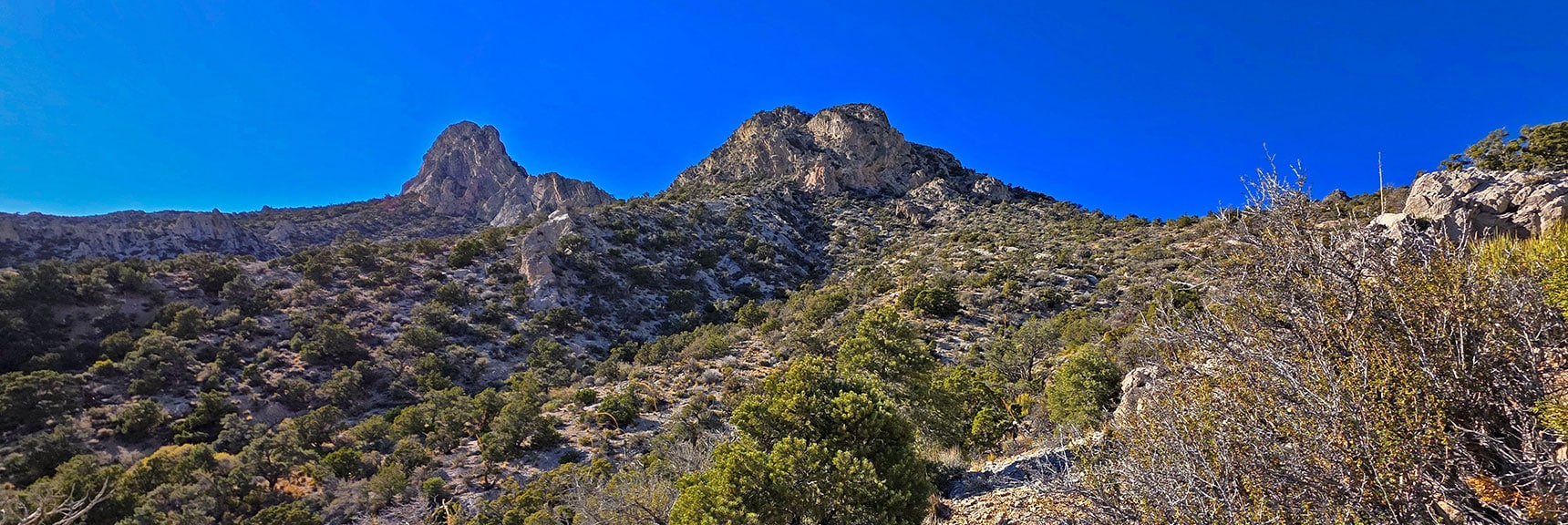 Saddle, Peak 6826, Fernande Peak from Below. Very Different Look! | La Madre Ridgeline Eastern Grand Crossing Loop | La Madre Mountains Wilderness, Nevada