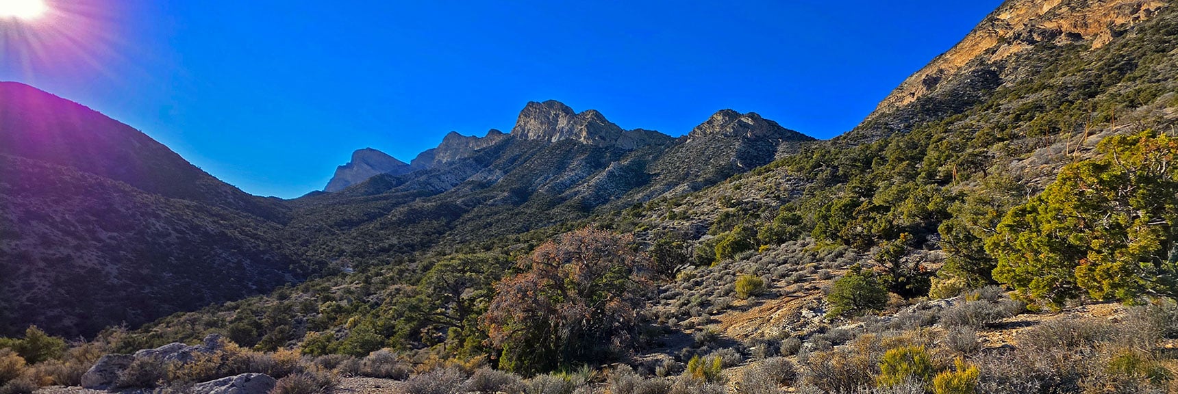 View Back to Saddle, Peak 6826, Fernande, La Madre, El Padre Peaks | La Madre Ridgeline Eastern Grand Crossing Loop | La Madre Mountains Wilderness, Nevada
