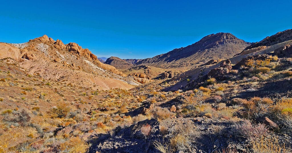 Lonesome Peak Baseline Loop | Eldorado Wilderness, Nevada