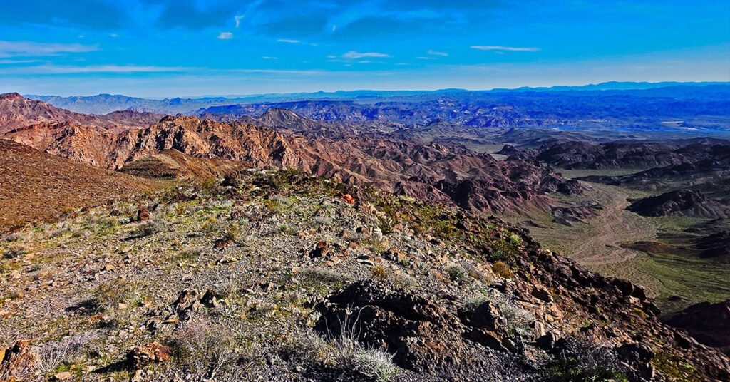 Lonesome Wash | Eldorado Wilderness, Nevada