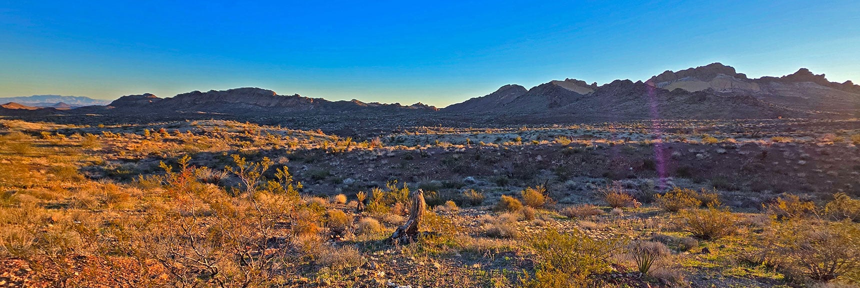 View Lonesome Peak Area from Starting Point on Hwy 165 | Lonesome Peak West Canyon Loop | Eldorado Wilderness, Nevada