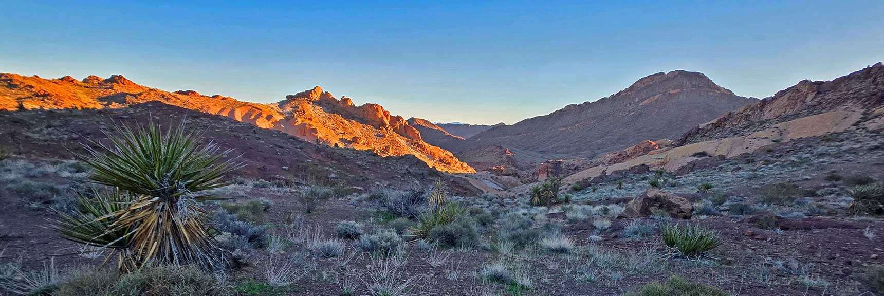 Begin Descending into West Canyon. Dramatic Change in Landscape. | Lonesome Peak West Canyon Loop | Eldorado Wilderness, Nevada