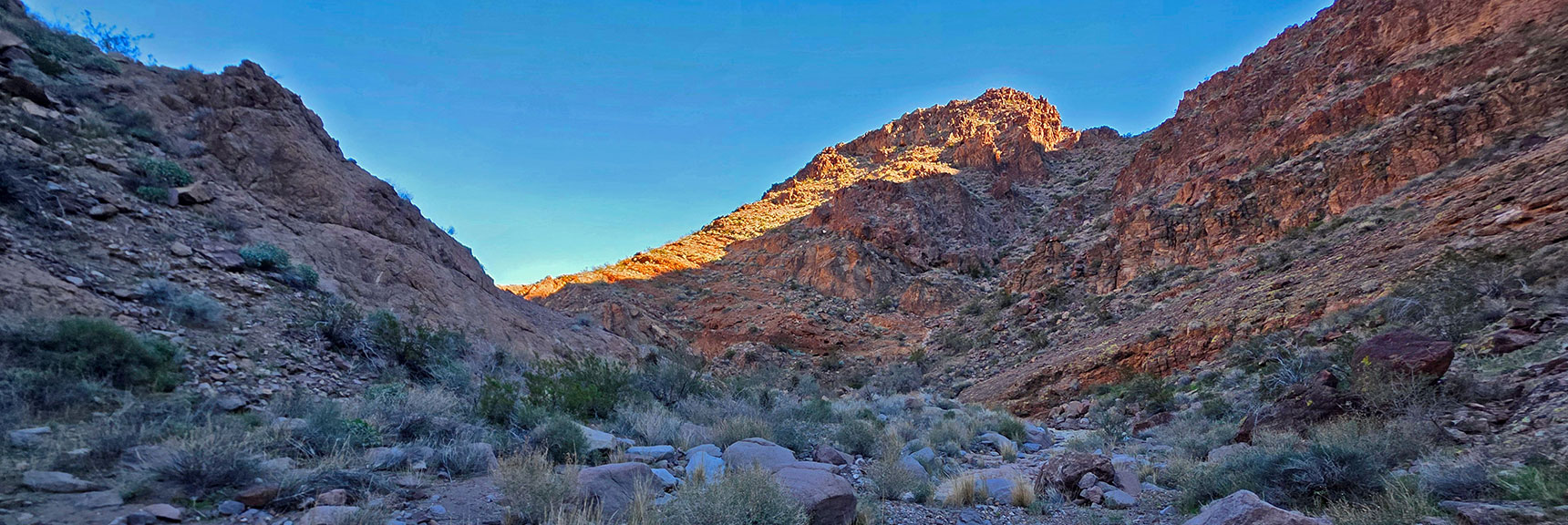 Continue to Descend Canyon. N Lonesome Peak Base Cliffs to Right. | Lonesome Peak West Canyon Loop | Eldorado Wilderness, Nevada