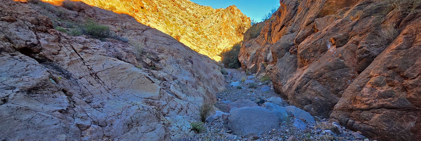 Continue Down Narrowing Channel, N Lonesome Peak Cliffs on Right. | Lonesome Peak West Canyon Loop | Eldorado Wilderness, Nevada