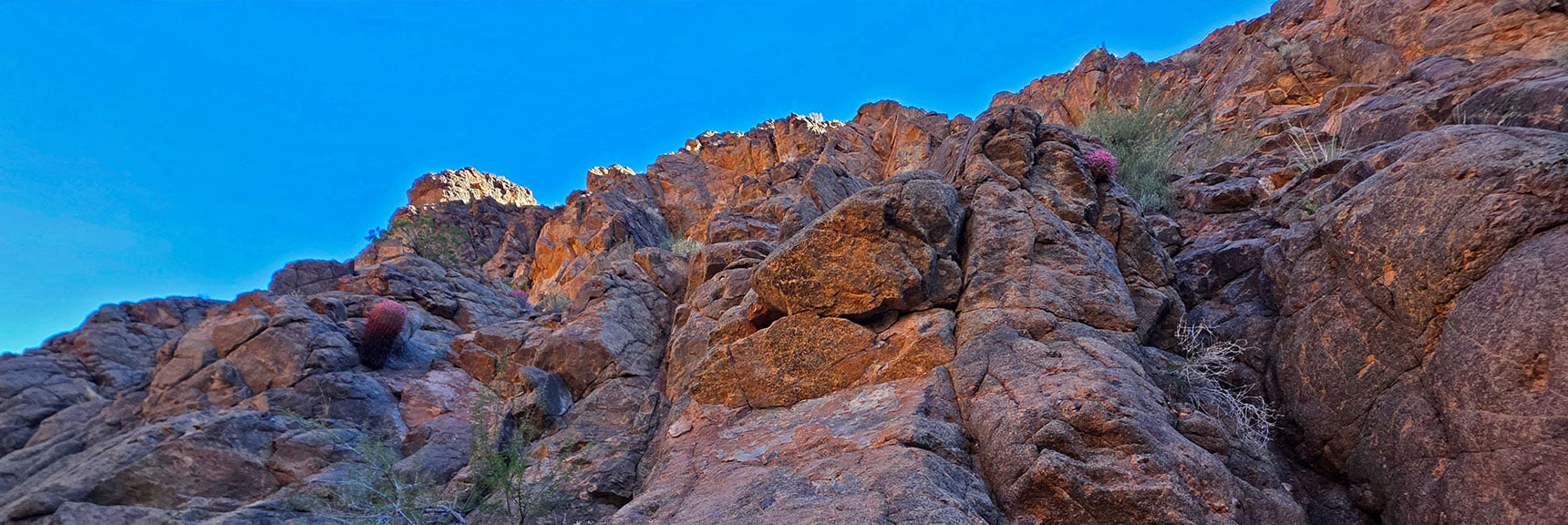 Majestic Vertical N Lonesome Peak Cliff Walls on Right | Lonesome Peak West Canyon Loop | Eldorado Wilderness, Nevada