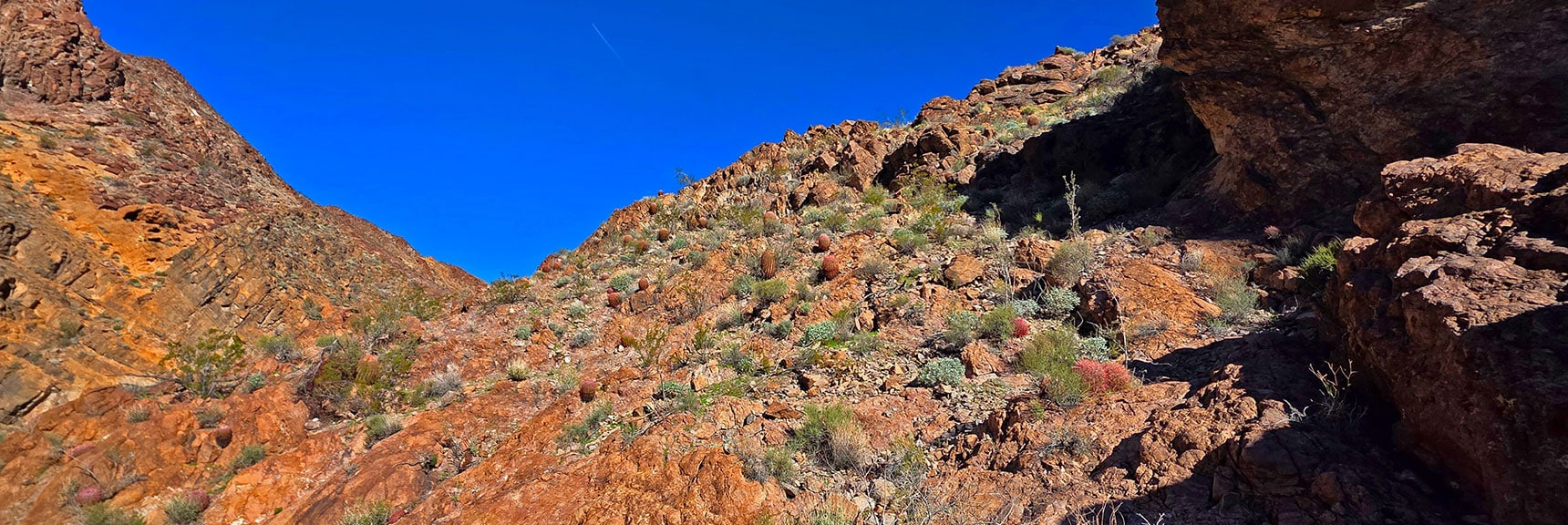Explored Potential Bypass to Right (see video); Vertical Over Ridge | Lonesome Peak West Canyon Loop | Eldorado Wilderness, Nevada