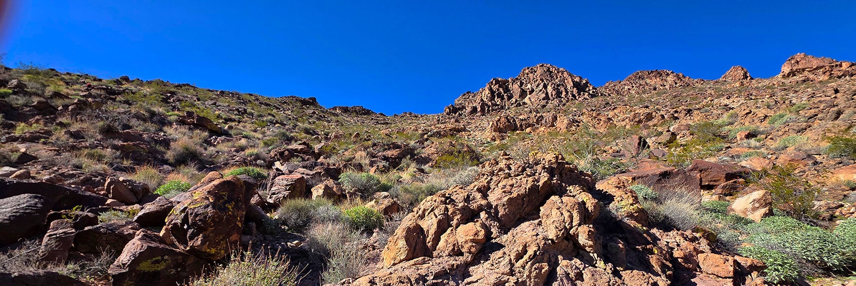 Slope is Steep, But Easy to Weave Up and Around Obstacles. | Lonesome Peak West Canyon Loop | Eldorado Wilderness, Nevada