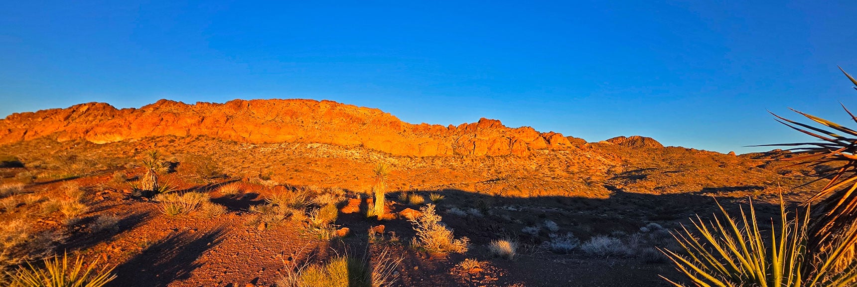 Larger View of West Ridge. Pigs in Zen Peak Far Right. | Lonesome Peak West Canyon Loop | Eldorado Wilderness, Nevada
