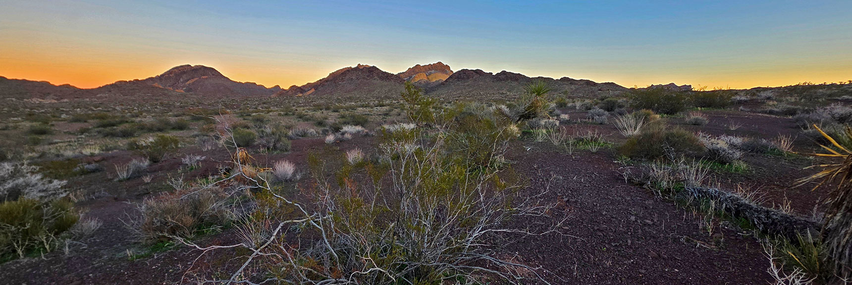 There Were a Few Deep Gullies to Cross in Final Desert Traverse. | Lonesome Peak West Canyon Loop | Eldorado Wilderness, Nevada