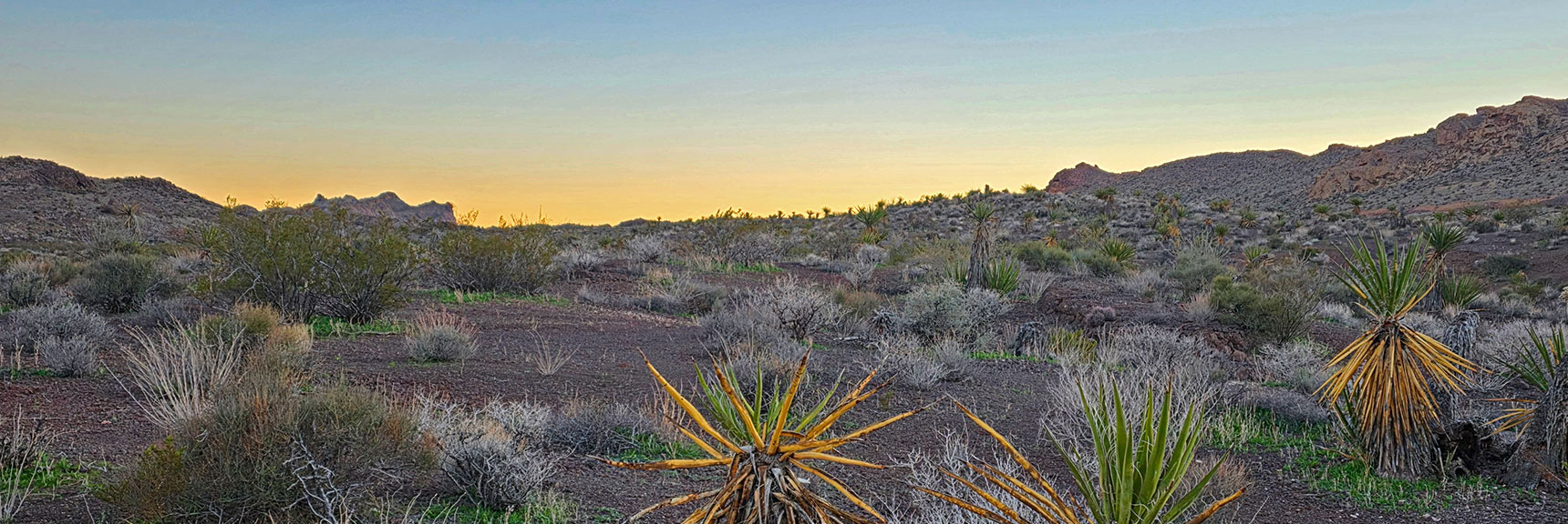 Final Sunset View Northwest Across Desert Terrain. | Lonesome Peak West Canyon Loop | Eldorado Wilderness, Nevada