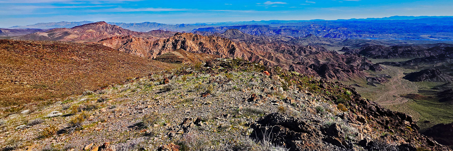 Lonesome Wash | Eldorado Wilderness, Nevada