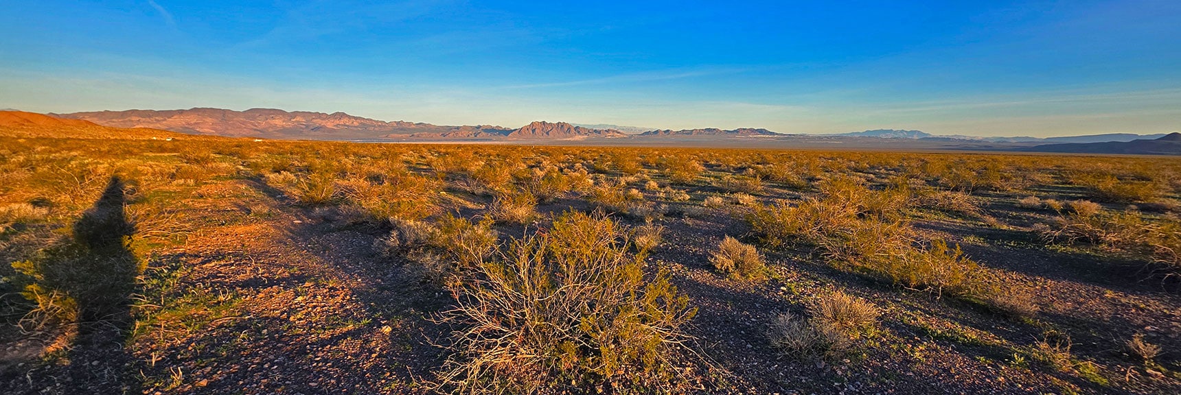 N McCullough Mts, Railroad Mts., Boulder City & River Mts. in Sunrise | Mohave Overlook | Eldorado Wilderness, Nevada