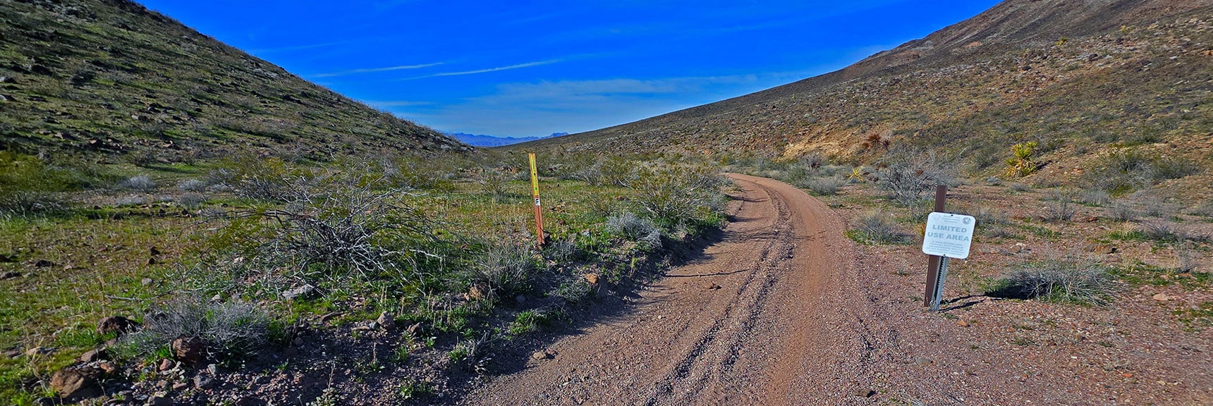 Descending Road "F". You Could Drive Roads "E" and "F" from Hwy 95 | Mohave Overlook | Eldorado Wilderness, Nevada